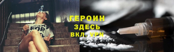 гашик Алексин