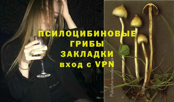 гашик Алзамай