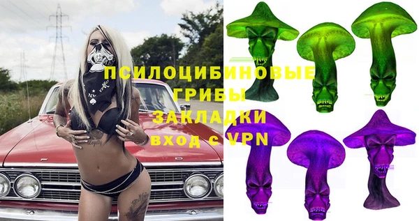 гашик Алексин