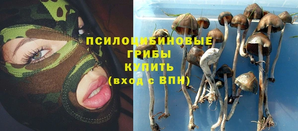 гашик Алексин