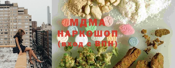 гашик Алексин