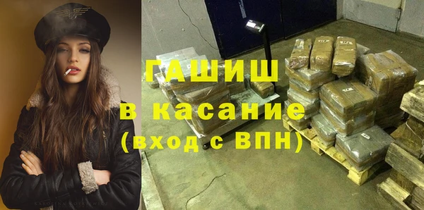 гашик Алексин