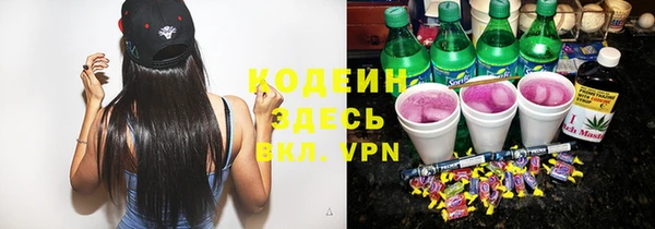 гашик Алексин