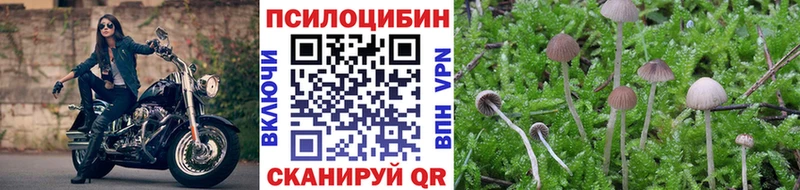Галлюциногенные грибы MAGIC MUSHROOMS  Медынь 